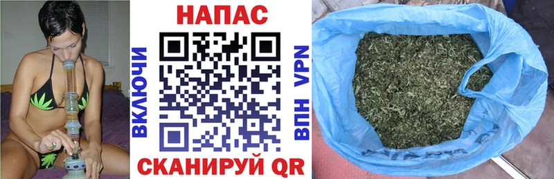 Где найти наркотики Нововоронеж COCAIN Героин Канабис Гашиш