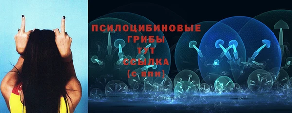 спайс Аркадак