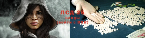 кокс Арсеньев