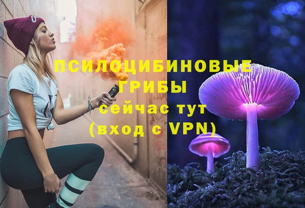 мяу мяу мука Армянск