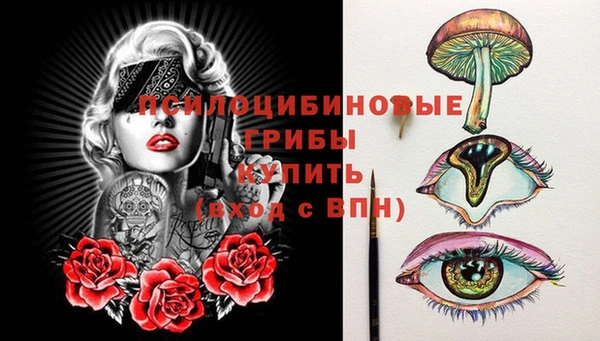 мяу мяу мука Армянск