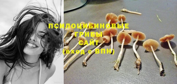 мяу мяу мука Армянск