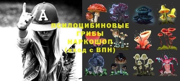 спайс Аркадак