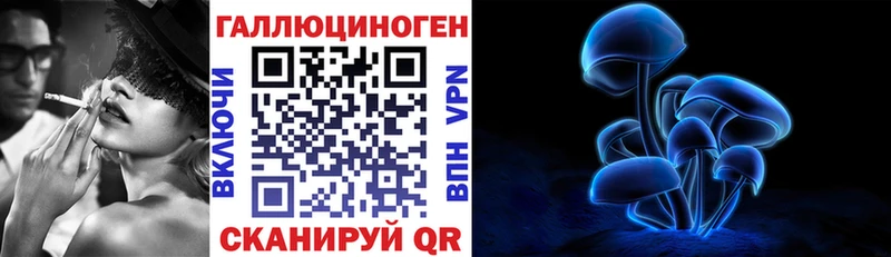 kraken tor  Нововоронеж  Псилоцибиновые грибы прущие грибы  shop клад  купить  